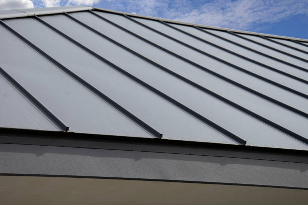 Best Gutter Installation and Repair  in Port Isabel, TX